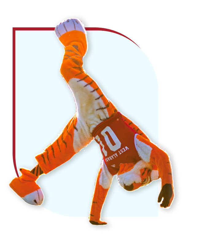 Luie, UWA Mascot, Cartwheeling